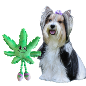 Mary Jane the Weed Leaf 420 Dog Toy