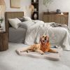 Pet Supplies Dog Bed with Memory Foam Support